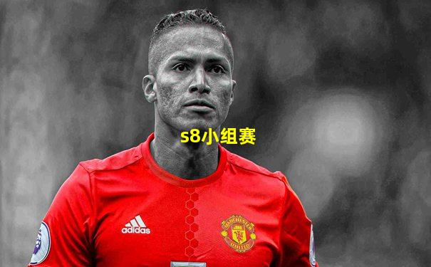 s8小组赛