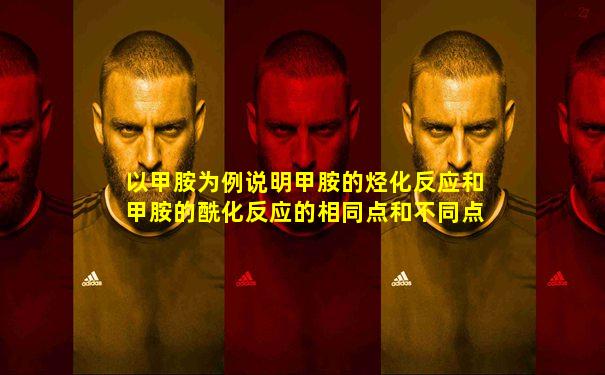 以甲胺为例说明甲胺的烃化反应和甲胺的酰化反应的相同点和不同点