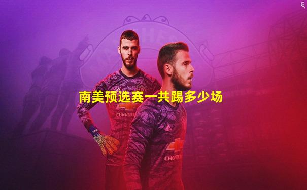 南美预选赛一共踢多少场