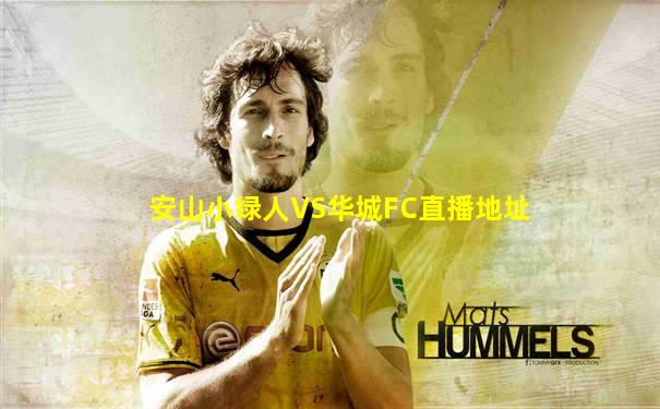 安山小绿人VS华城FC直播地址