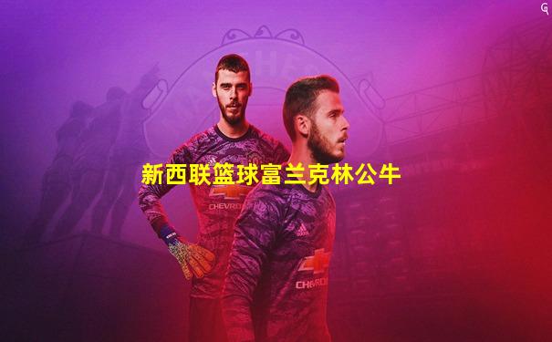 新西联篮球富兰克林公牛