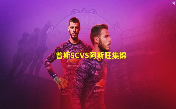 普斯SCVS阿斯旺集锦