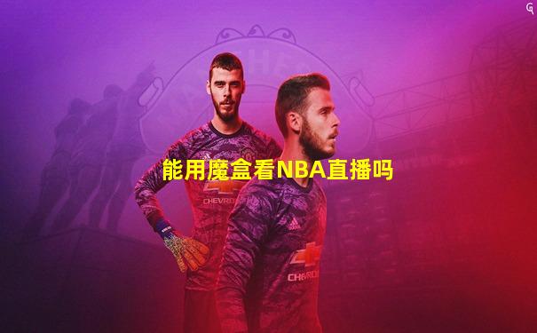 能用魔盒看NBA直播吗