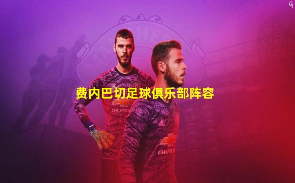 费内巴切足球俱乐部阵容