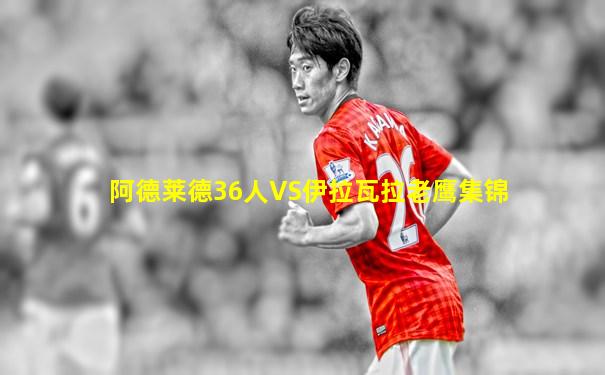 阿德莱德36人VS伊拉瓦拉老鹰集锦