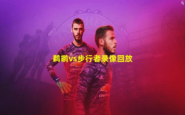 鹈鹕vs步行者录像回放